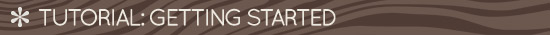 Tutorial: Getting Started